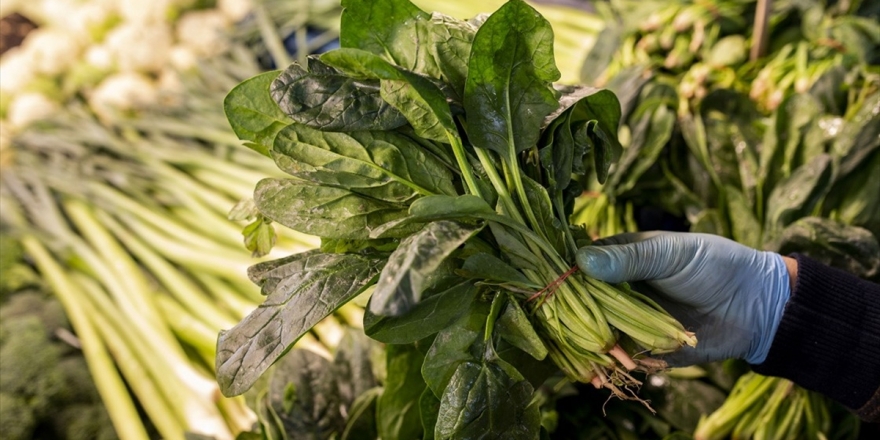 'Ispanak Yedikten Sonra 196 Kişi Hastanelere Başvurdu'