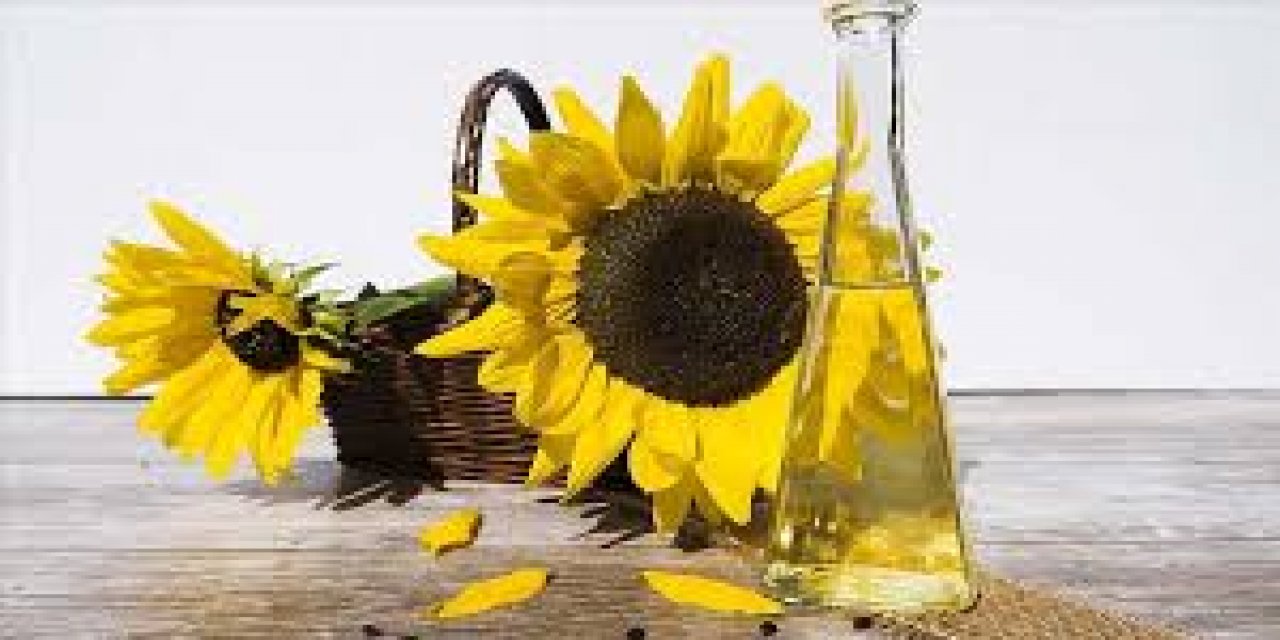 Ayçiçeği Ve Fındık Yağlarının Bazı Parametrelerinde "İklim Değişikliği" Rötuşu
