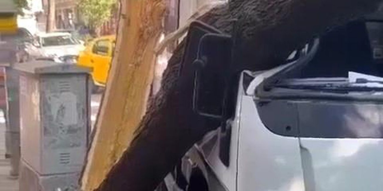 Bursa'da Kesilen Ağacın Üzerine Devrildiği Kamyonetin Sürücüsü Öldü