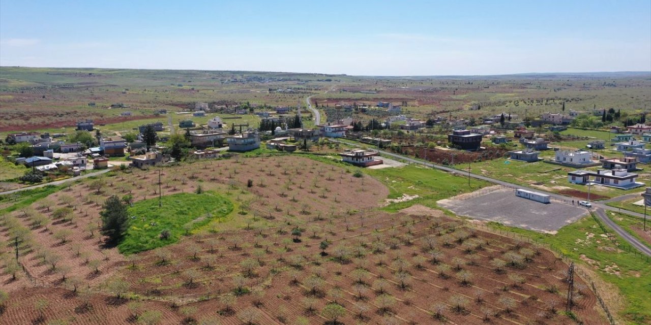 Japonların Ve Çinlilerin Gözü Bu İlçede! Yıllarca Devam Edecek Kazı Başlıyor