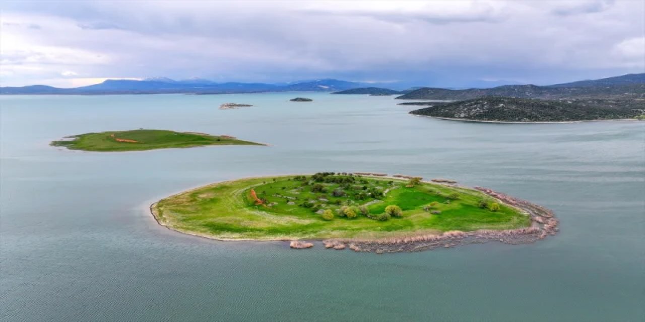 İsviçre Değil Türkiye! Uyanık Besici Çoban Masrafından Böyle Kurtuldu