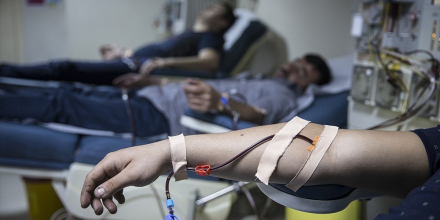 Böbrekteki İşlev Kaybı Organ Nakline Kadar İlerleyebiliyor