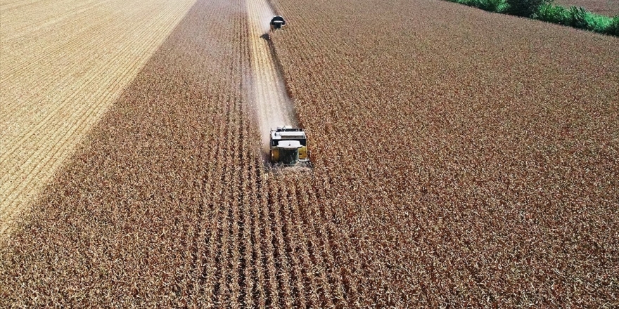 Tarımsal Desteklere 'Girdi Maliyeti' Ayarı