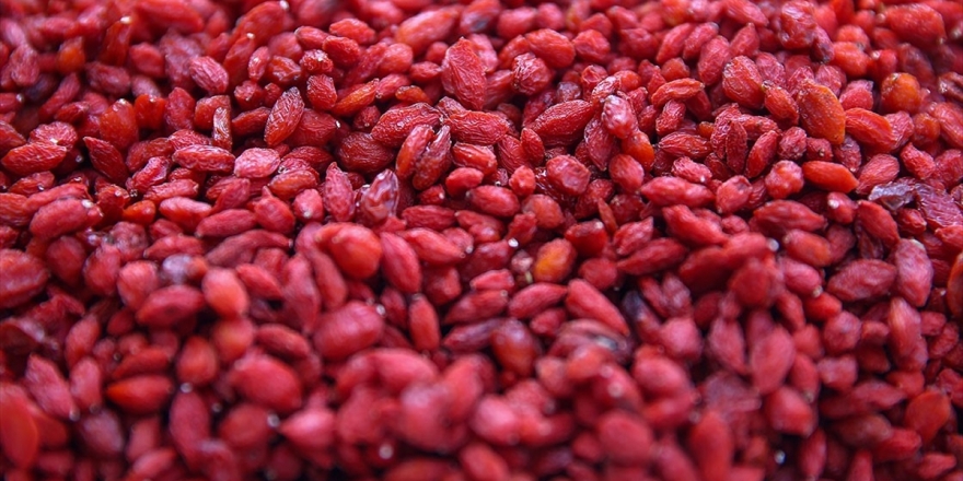 'Bunu Kimse Yemez' Dediler Şimdi Talebe Yetişemiyor