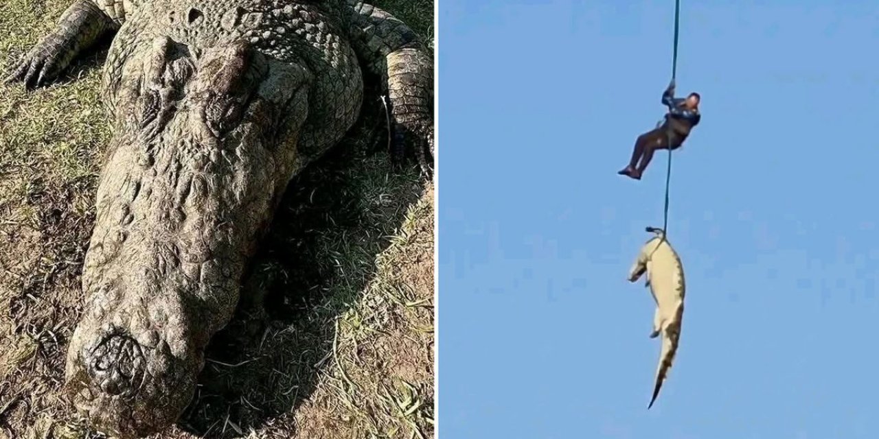 Kayıp Kişileri O Mu Yedi? Dev Timsahın Midesinden 6 Çift Terlik Çıktı
