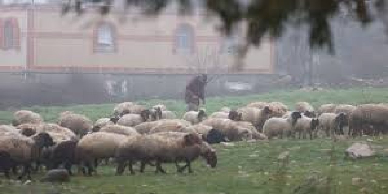 İsrail Ordusu, Suriye'nin Kuneytra Kırsalına Baskın Düzenleyerek Bir Çobanı Alıkoydu