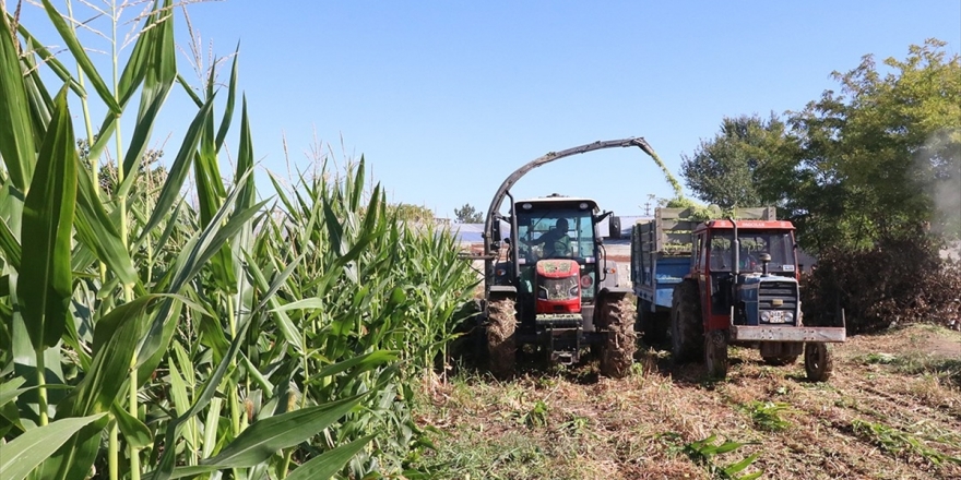 Çiftçilere 284 Milyon Liralık Destek