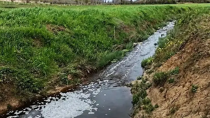 Sinop'ta Çevreyi Kirleten Tesise Ceza