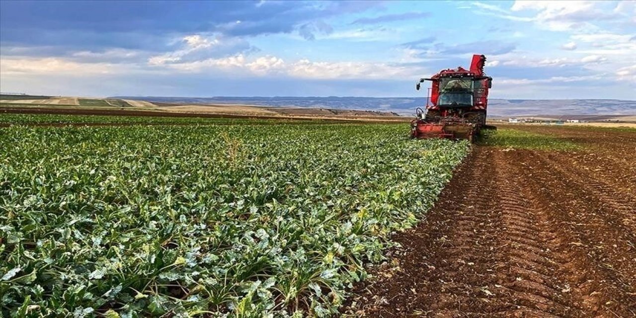 Çiftçilere Yılın İlk Çeyreğinde 35,6 Milyar Liralık Tarımsal Destek Ödemesi Yapıldı