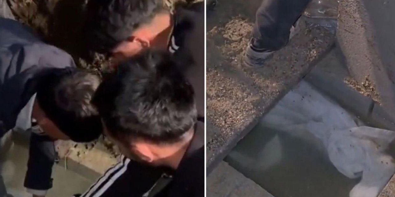Muş'ta Akıllara Durgunluk Veren Bir Olay Yaşandı.