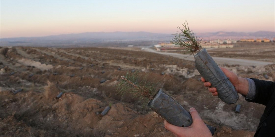 Çorum Guinness Dünya Rekoru Denemesine Hazır