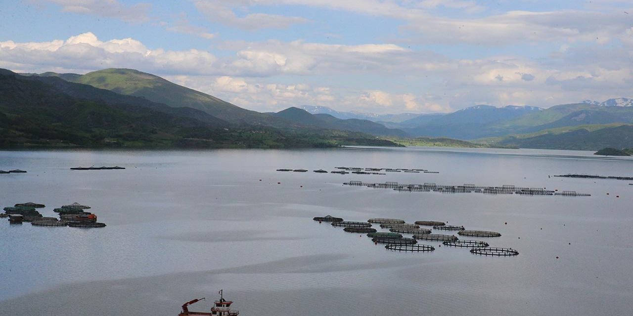 Almus Barajı'nda Doluluk Yüzde 100'e Ulaştı