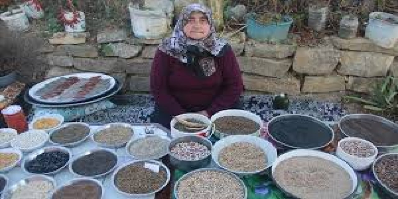 Ata Tohumları İklim Direnci İçin Genetik Kaynak Niteliği Taşıyor