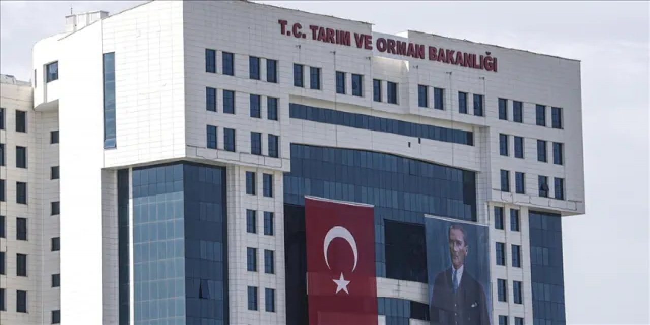 Tarım Ve Orman Bakanlığı Piyasaya Yeni Çıkacak Gıdalara İlişkin Esasları Belirledi