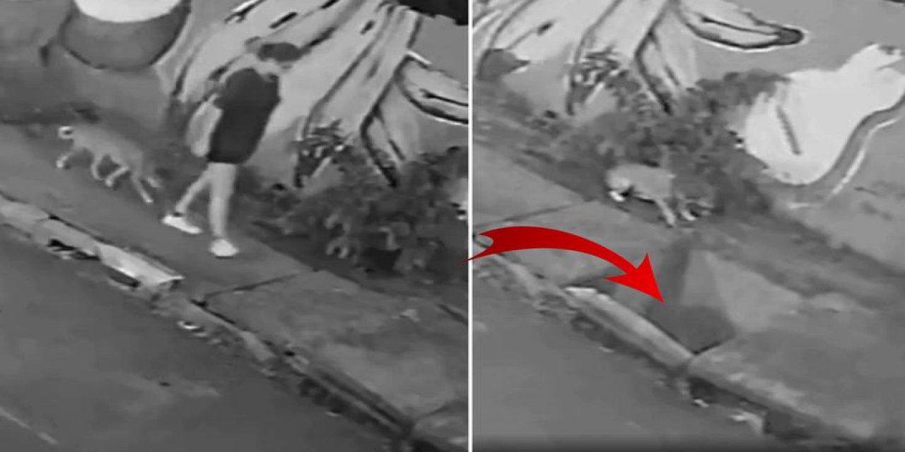 Köpeğiyle Yürüyen Genç Kadın Kapağın Kırılmasıyla Kanalizasyona Düştü