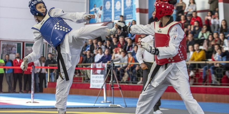 Tatamide Gurur Kaynağı Kadın Tekvandocular