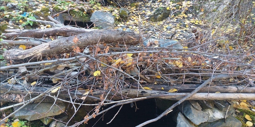 'Kıran-5' Operasyonunda 20 Sığınak İmha Edildi