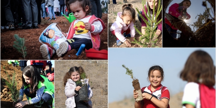 81 İlde 11 Milyon Fidan Toprakla Buluştu