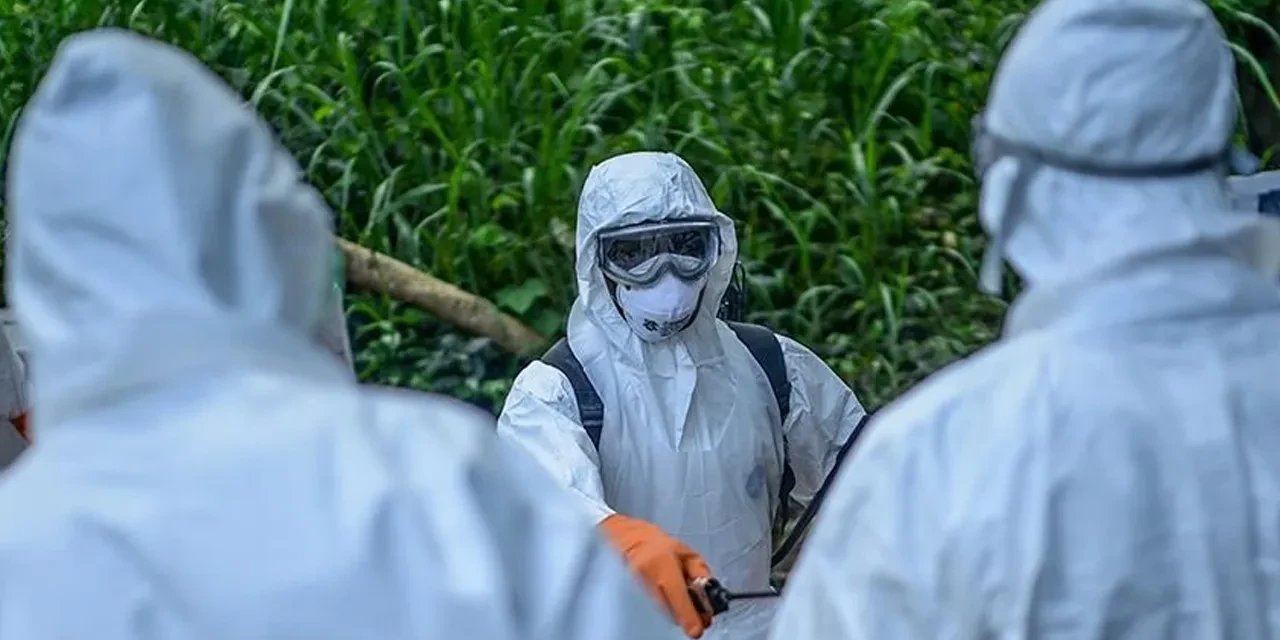Belçika Ebola Salgını İçin Acil Durum Önlemlerini Devreye Aldı