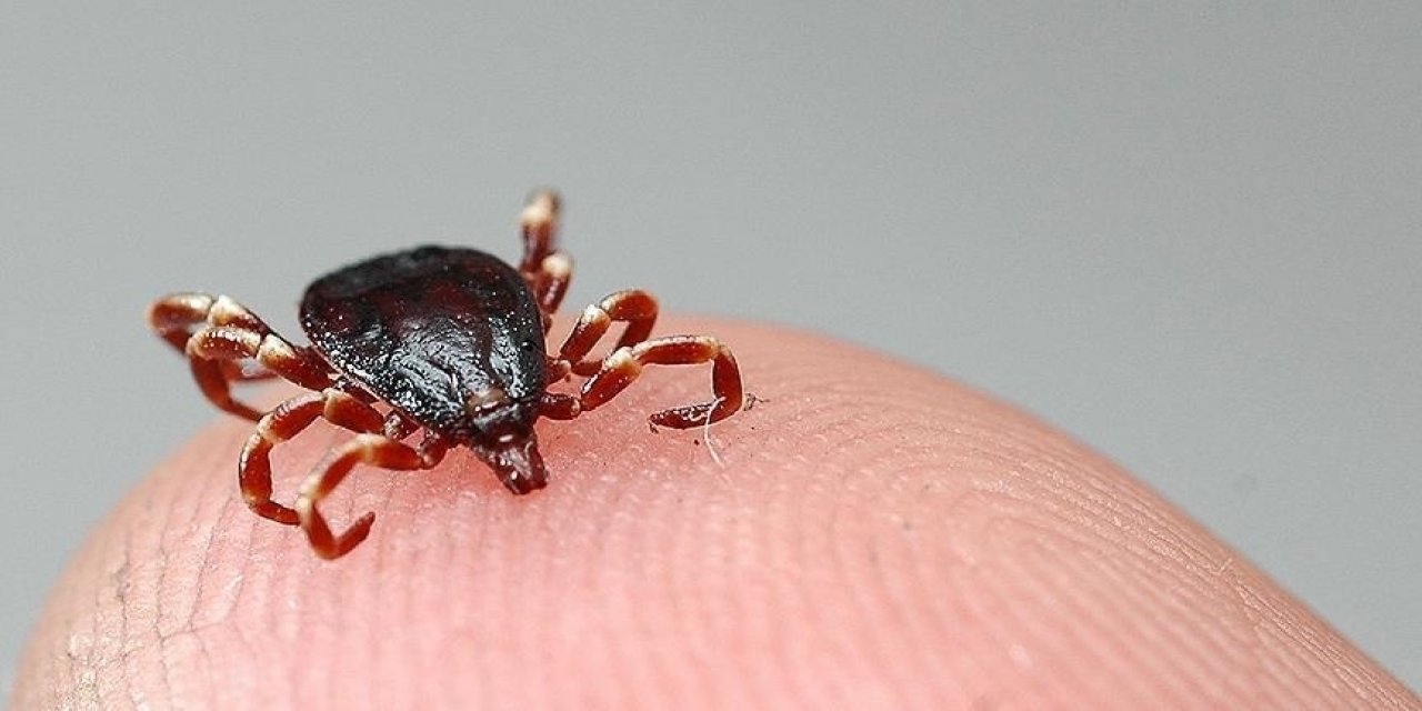 Sivas'ta KKKA Hastalığı Şüphesiyle Tedavi Gören Kişi Hayatını Kaybetti