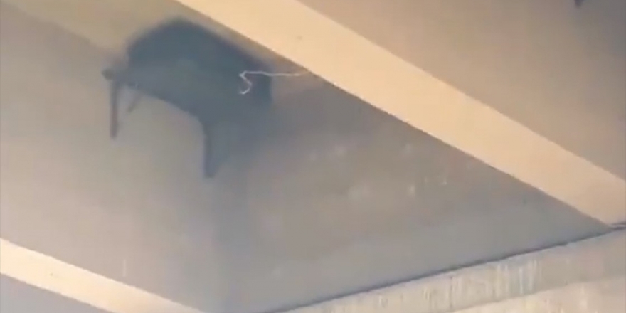 Barış Pınarı Harekatı Bölgesinde Köprüye Tuzaklanan EYP İmha Edildi