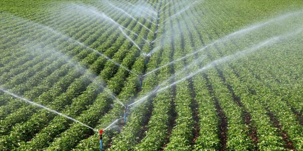 Tarımda Geçen Yıl 72 Bin 149 Hektar Alan Sulamaya Açıldı, 12 Milyar Lira Katkı Sağlandı