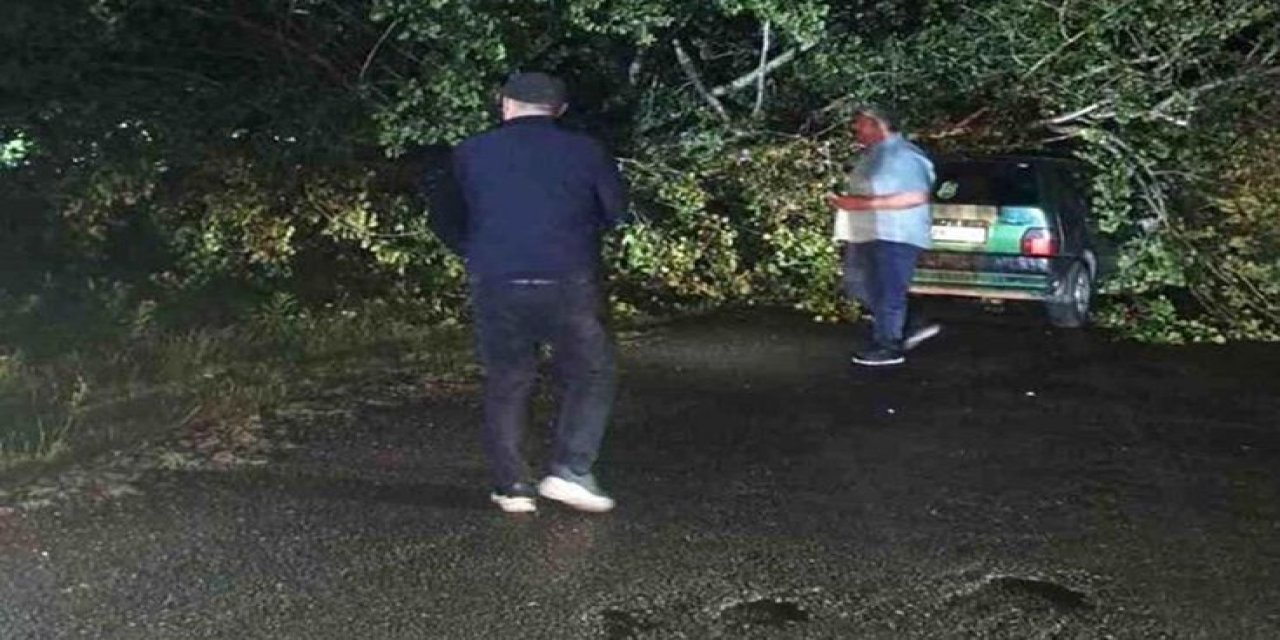 Bartın'da Fırtına Ağaçları Devrip Araçlara Zarar Verdi