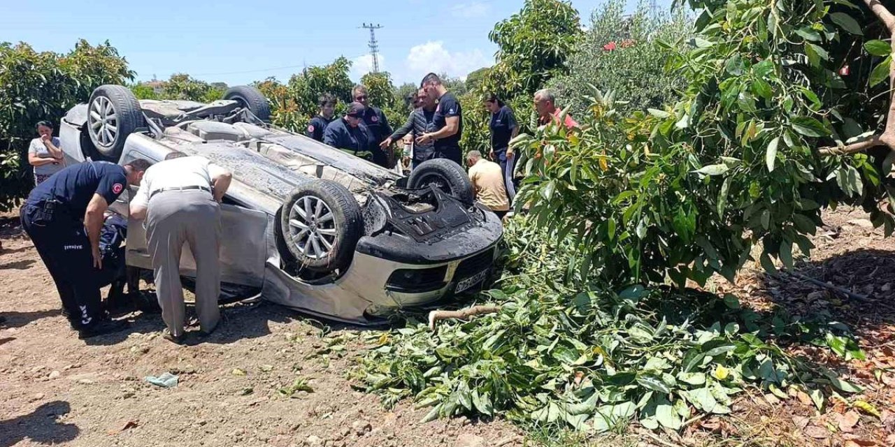 Viraj Alamayan Otomobil Avokado Bahçesine Uçtu