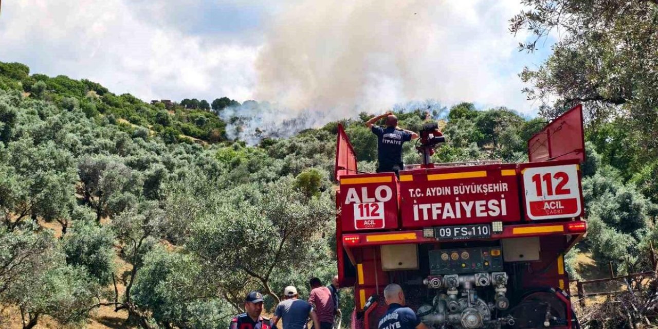 Yenipazar'daki Otluk Alan Yangını Kontrol Altına Alındı