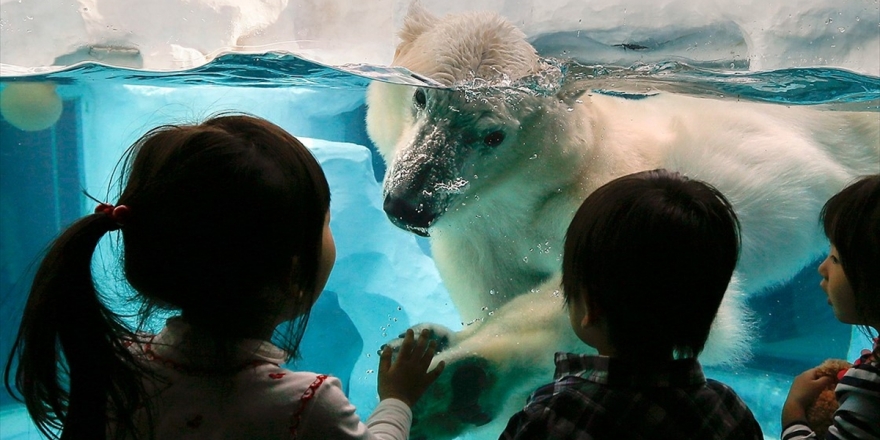 İklim Değişikliği Çocukların Sağlığını Tehdit Ediyor