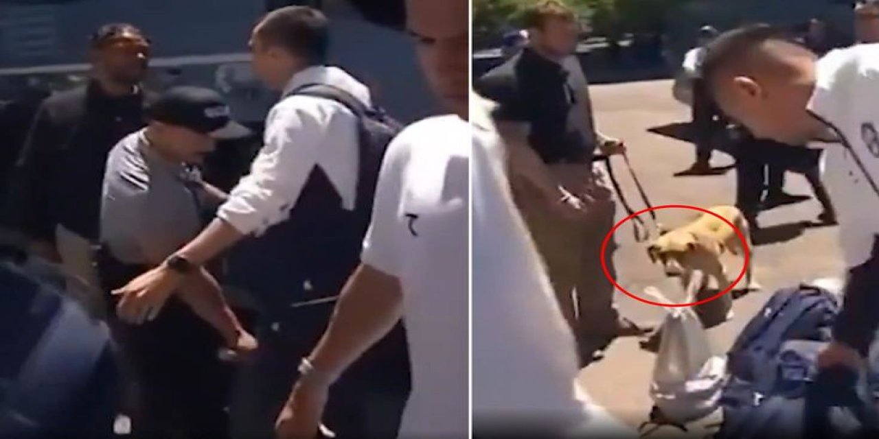 Dünya Kupası Öncesi Tarihi Skandal! Milli Takımı Narkotik Köpekleriyle Aradılar
