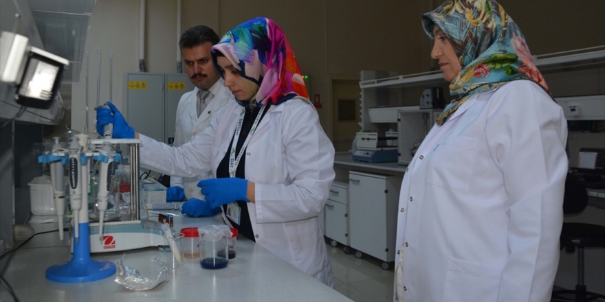 Atatürk Üniversitesinden Akademisyenler 'Çaşır'dan Krem Üretti