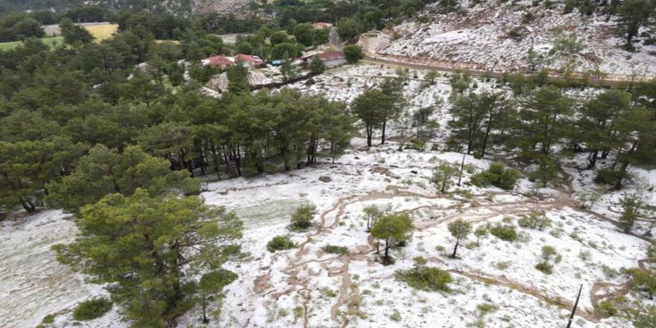 Denizli'de Dolu Yağışı Tarım Alanlarını Vurdu