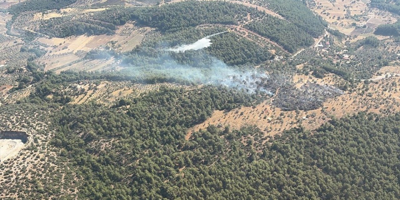 Milas'ta Ziraat Alanındaki Yangın Kontrol Altına Alındı