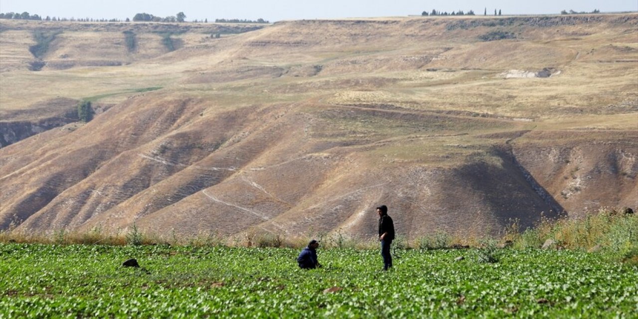 İsrail’in Yermuk Havzası'ndaki İhlalleri Suriyeli Çiftçi Ve Besicilerin Sıkıntılarını Derinleştiriyor