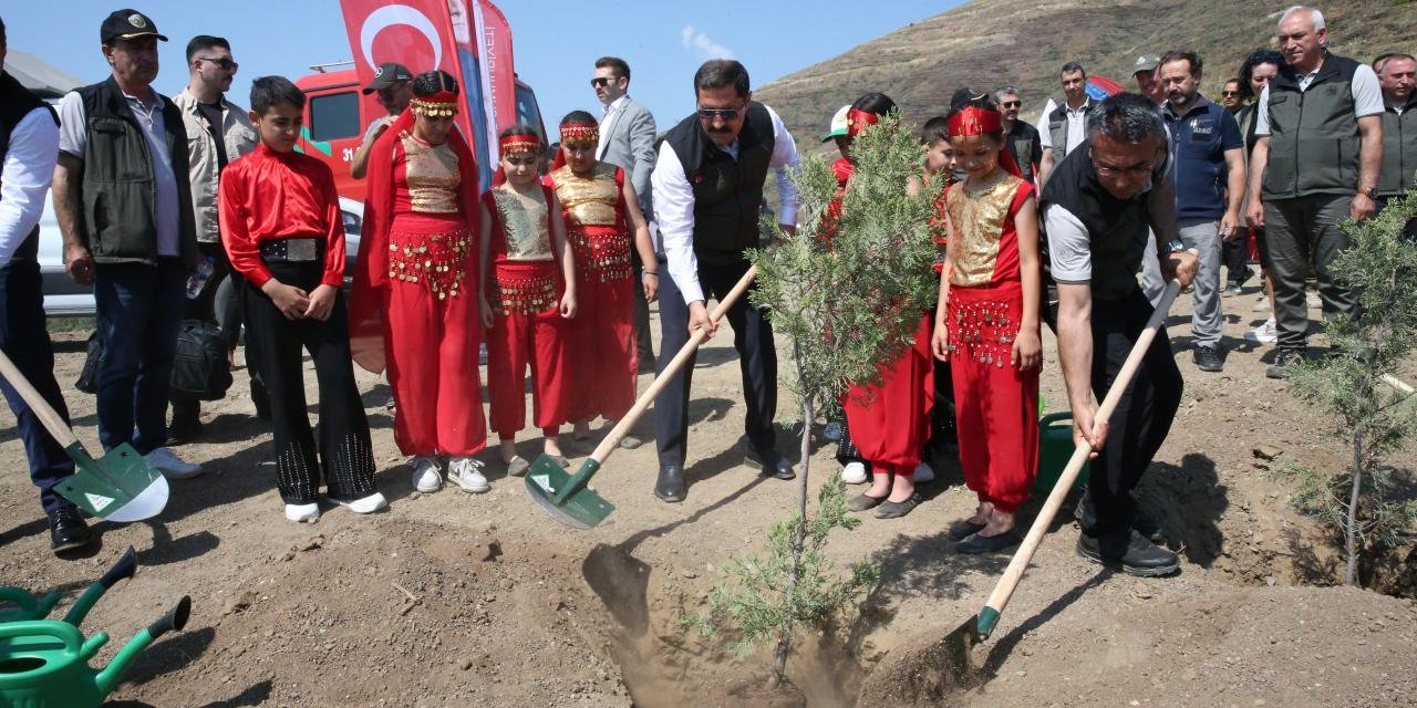 Hatay'da Orman Yangınında Zarar Gören Alanlar Ağaçlandırılıyor