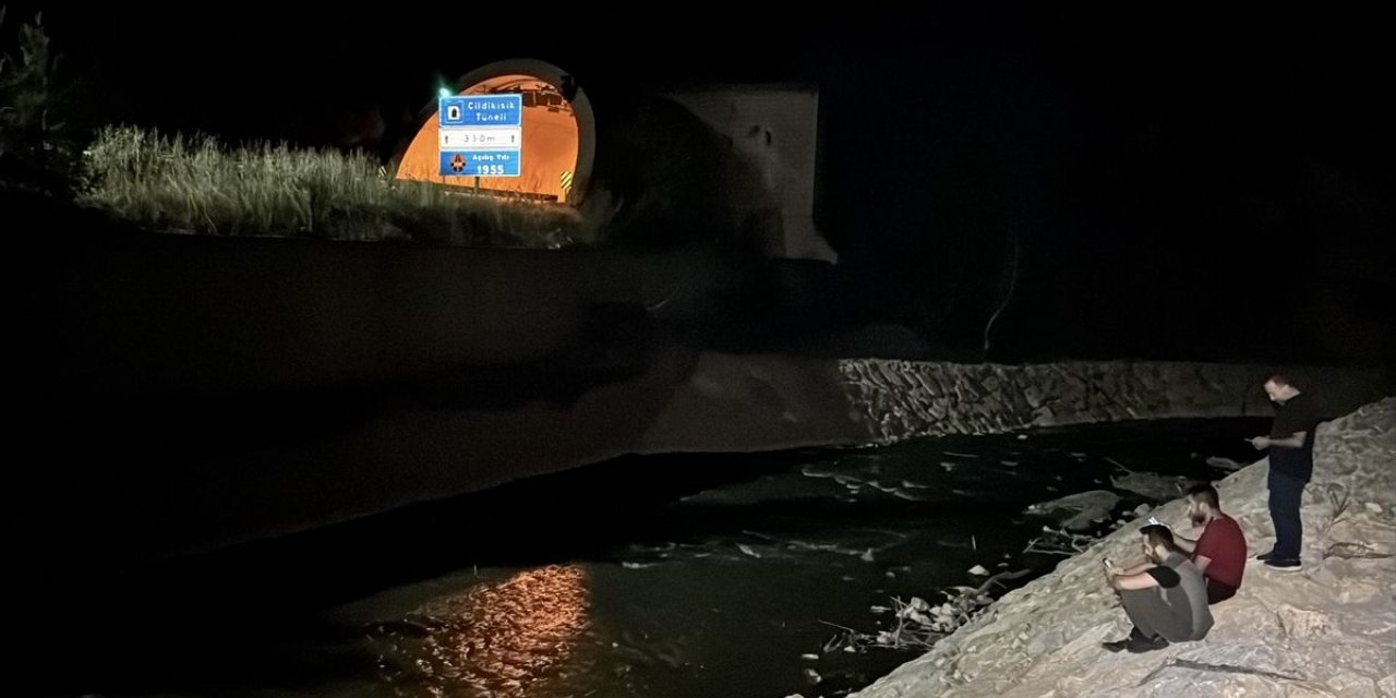 Karabük'te Tünelde Bozayı Yaralandı