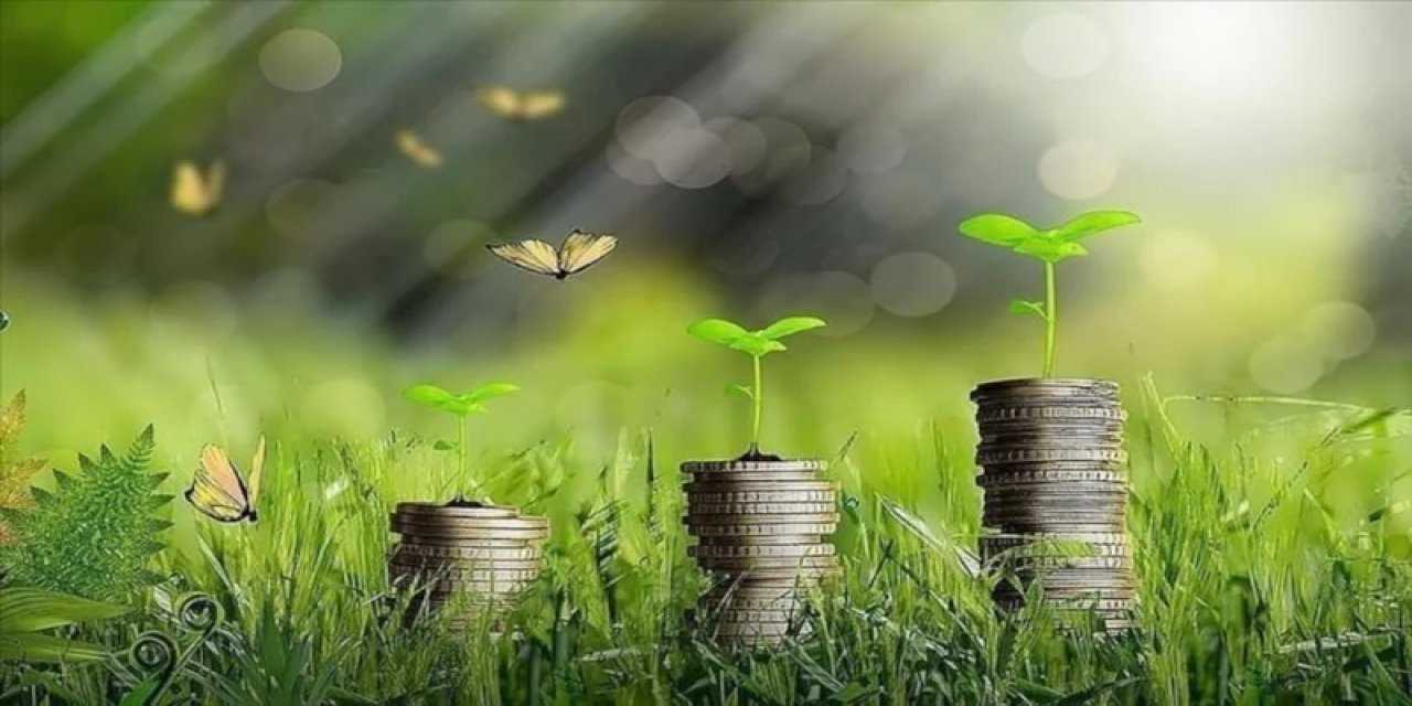 Enerji Verimliliği Ve Karbon Azaltımı Kriterlerine Uyan İşletmelere Destek Programı