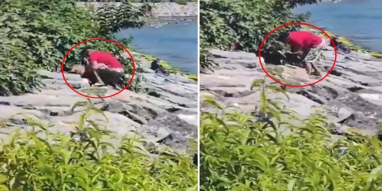 Avcılar Sahilinde Köpeğe Şiddet Uygulayan Şahıs Gözaltına Alındı