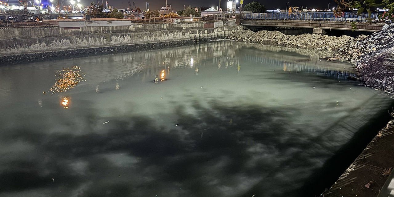 Bakırköy'de Çırpıcı Deresi'nde Toplu Balık Ölümleri! AFAD İnceleme Başlattı