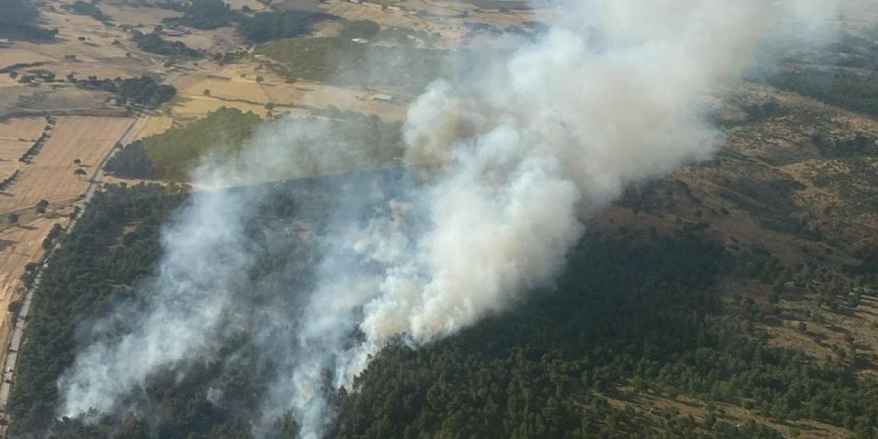 Çanakkale'de Ormanlık Alanda Çıkan Yangına Müdahale Ediliyor