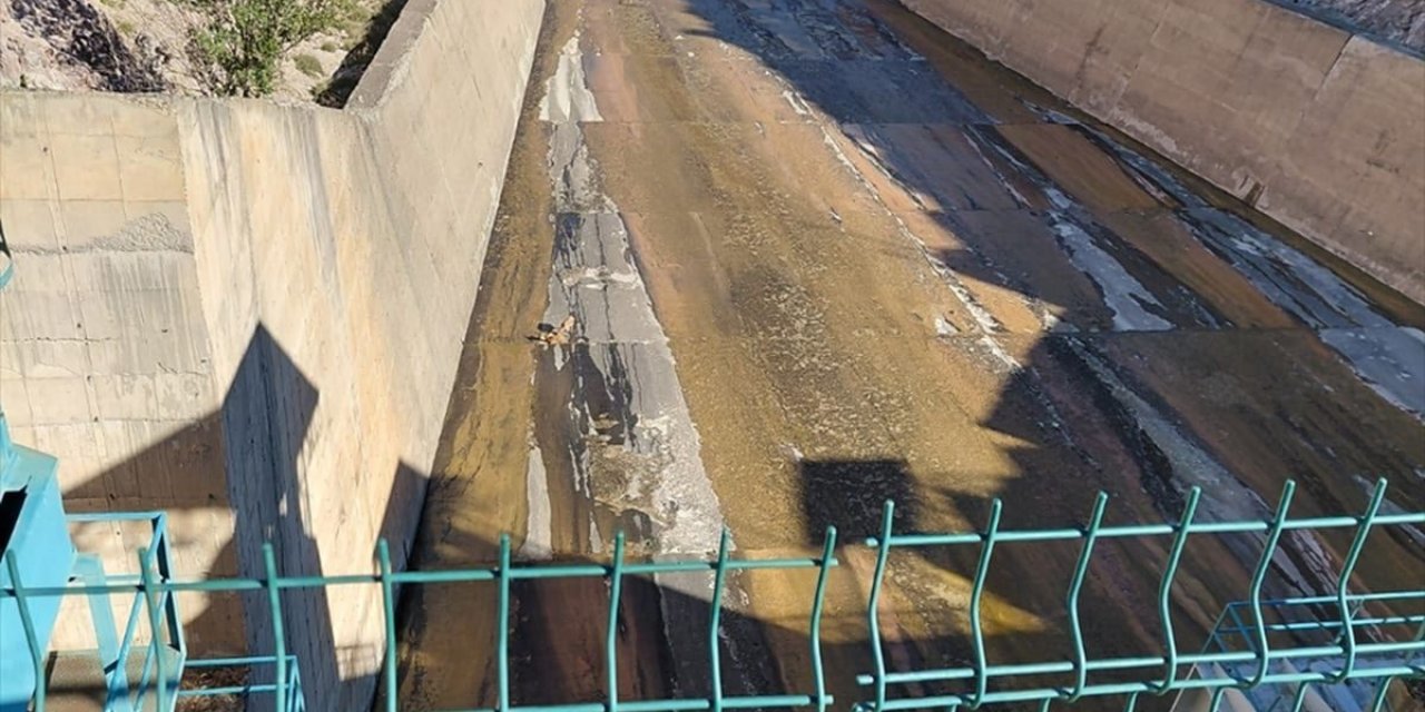 Sivas'ta Mahsur Kalan Dağ Keçileri Kurtarıldı