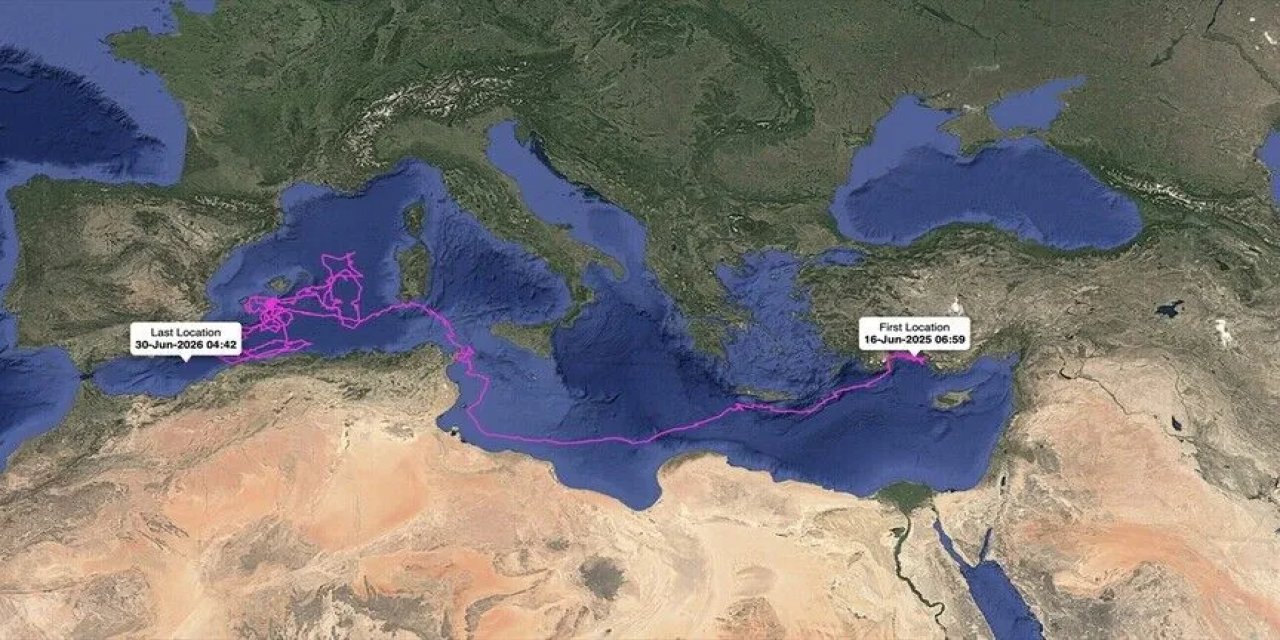 Uydudan İzlenen "Altın", "Gümüş", "Flora" Ve "Fauna" Binlerce Kilometre Katetti