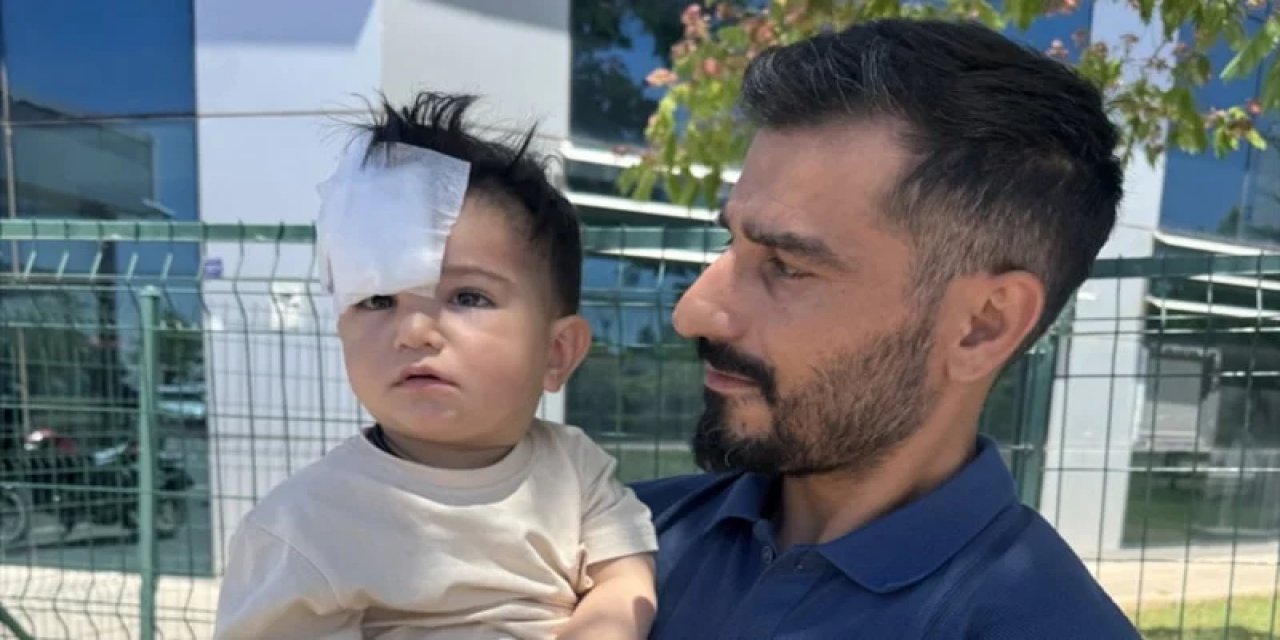 Şanlıurfa’da Sahipsiz Köpek Saldırısı: 1,5 Yaşındaki Çocuk Yaralandı