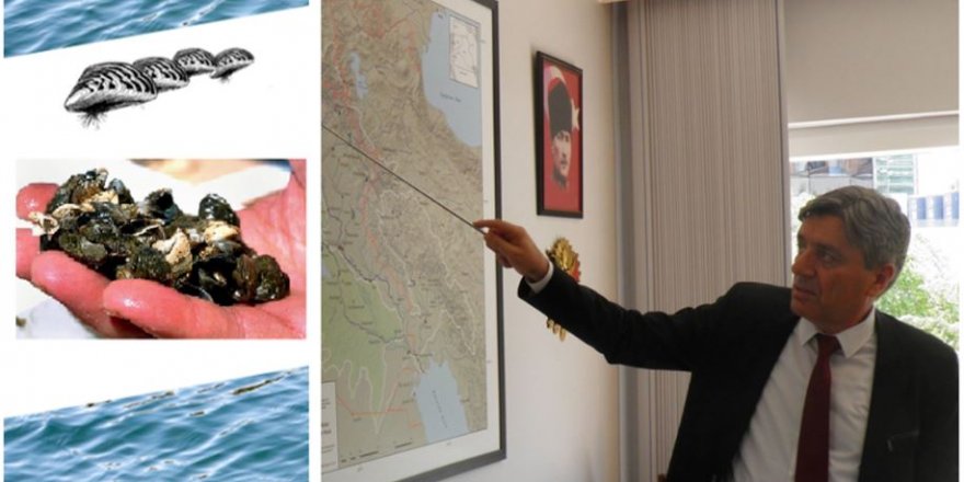 Edirne’den Van’a kadar hızla yayılan büyük risk!