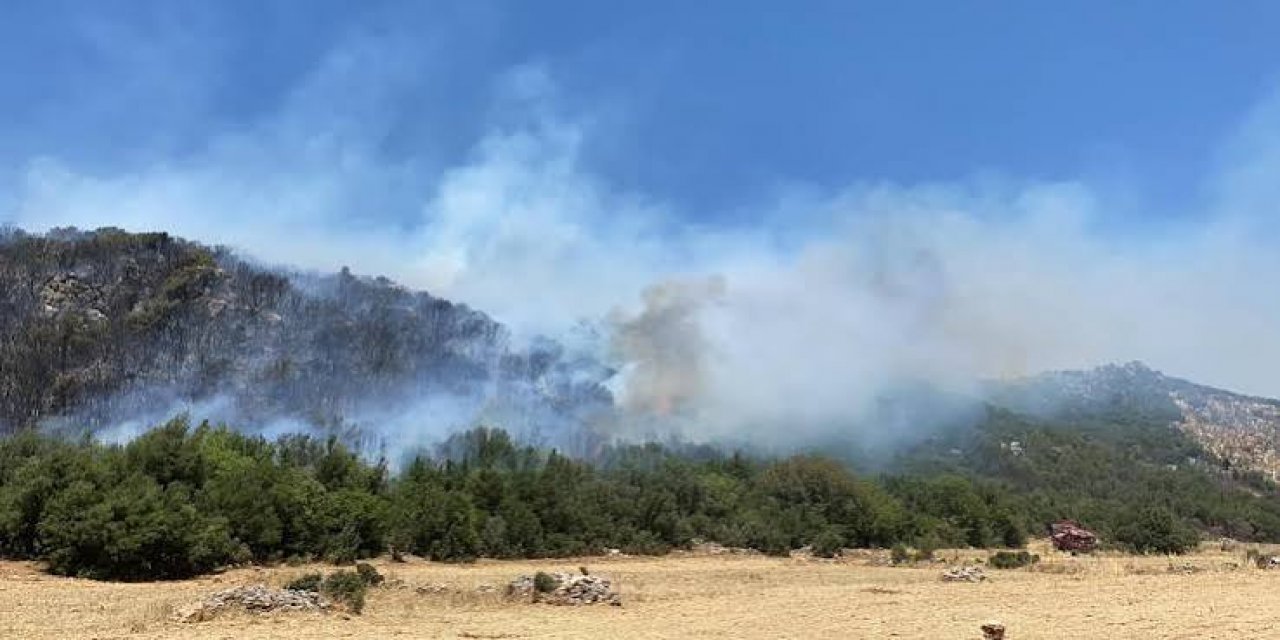 Antalya'da Çıkan Orman Yangını Söndürüldü