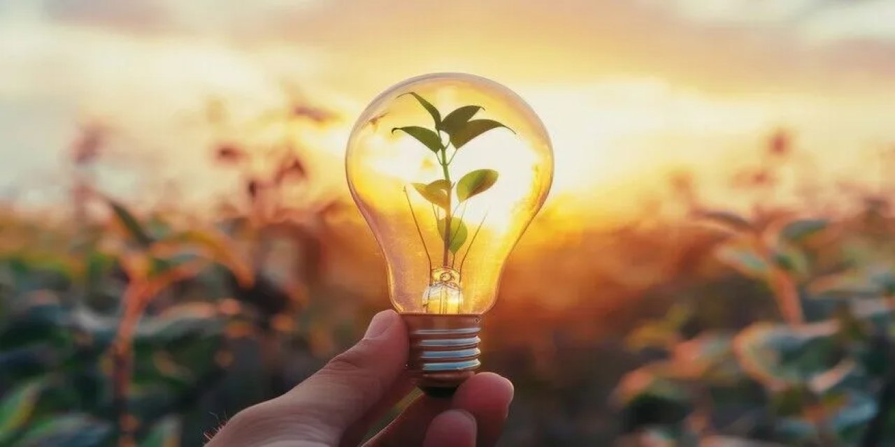 Ulusal Yeşil Finans Stratejisi Ve Eylem Planı'na İlişkin Cumhurbaşkanlığı Genelgesi Resmi Gazete'de