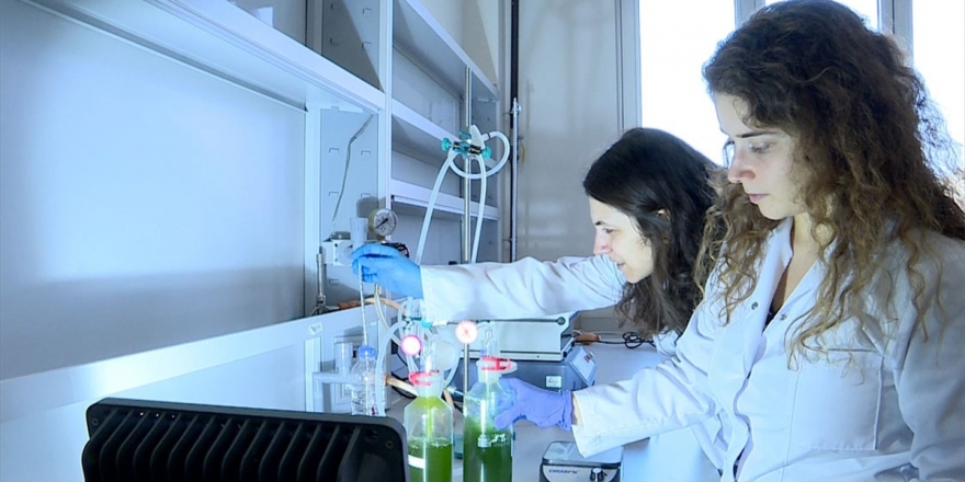 Enerjisini Üreten Çevreci Kampüs, İnsanlığın Sorunlarına Yosunla Çözüm Arıyor