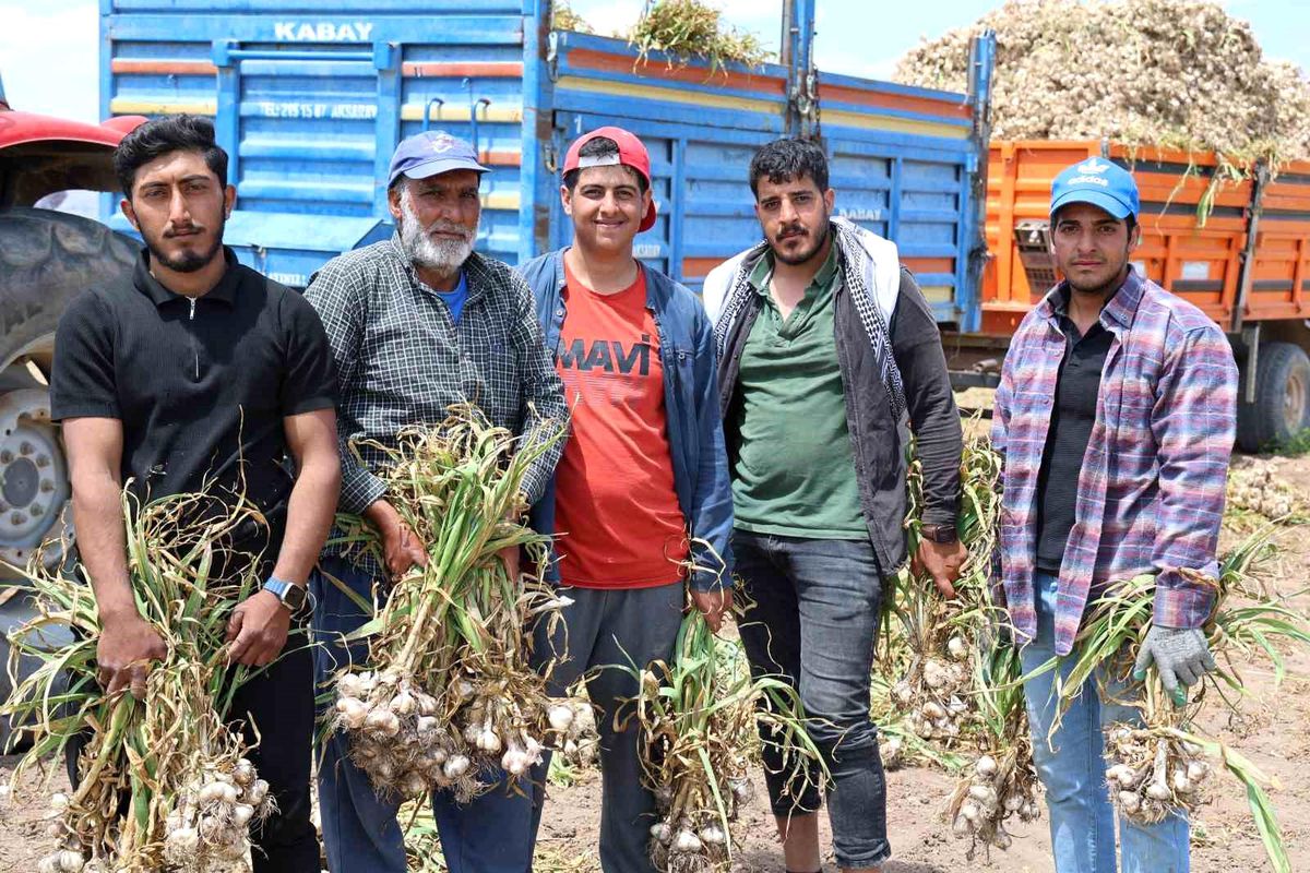 Başlık Parası Evliliği Zorlaştırıyor