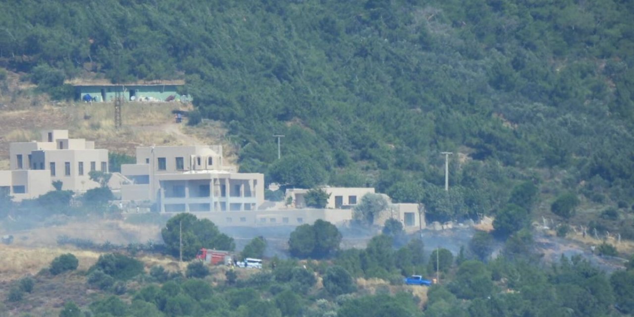 Cunda Adası'nda Orman Yangını